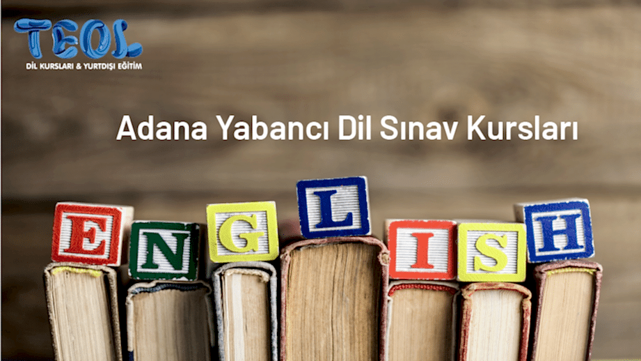 Başarıya Giden Yolda TEOL’ün Destekleyici Rolü